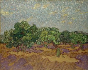Olivovníky. 1889 od Vincent van Gogh