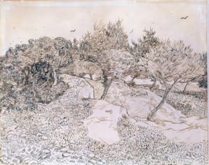 Olivovníky v Montmajour od Vincent van Gogh