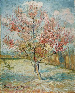 Růžové broskvoně (Souvenir de Mauve) od Vincent van Gogh