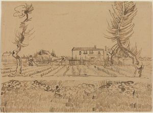  od Vincent van Gogh