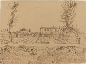 Oráč na polích poblíž Arles, 1888. od Vincent van Gogh