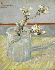 Větvička kvetoucího mandloně ve sklenici od Vincent van Gogh