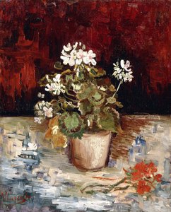 Zátiší hrnec muškátů, 1886 od Vincent van Gogh