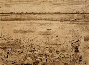 Bažinatá krajina s lekníny od Vincent van Gogh