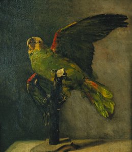 Zelený papoušek; Zelený papoušek, 1885 od Vincent van Gogh