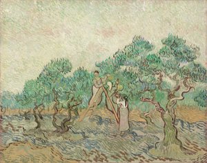 Olivový sad, 1889. od Vincent van Gogh