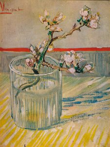 Mandlový kvetoucí stonek, 1888 od Vincent van Gogh
