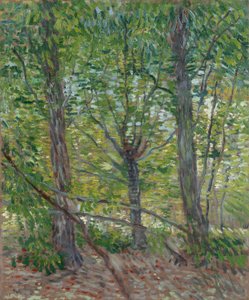  od Vincent van Gogh
