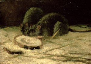 Dvě krysy, kolem roku 1884 od Vincent van Gogh
