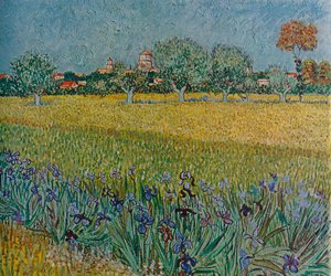 Pohled na Aleše s kosatci v květu, 1888 od Vincent van Gogh