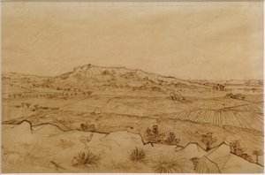 Pohled na Crau od Vincent van Gogh