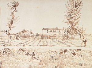 Práce na polích v Arles; Oráč na polích v Arles, 1888 od Vincent van Gogh