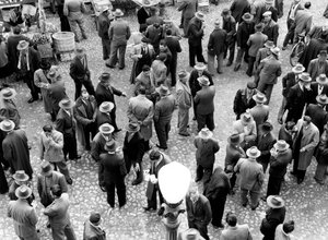 Skupiny mužů v rozhovoru, Itálie, cca 1960 (želatinový stříbrný tisk)