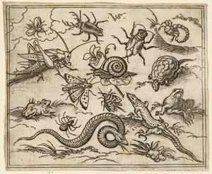 Skupina hmyzu a plazů na rovině s kameny, včetně leguána, ještěrky..., 1557.