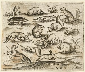 Skupina malých lesních tvorů, kteří jedí a pobíhají kolem rybníka, včetně myši..., 1557.