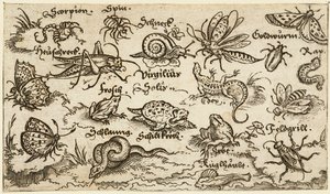 Hmyz, plazi, šneci a ryby na minimální půdě s vodou v popředí..., 1572.