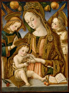 Madonna a dítě se dvěma anděly, ca. 1481-82.
