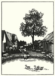 Ilustrace pro Tess Of The D
