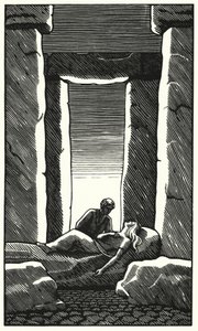 Ilustrace pro Tess Of The D