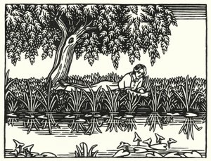 Ilustrace pro Tess Of The D
