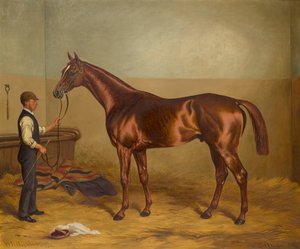 Sir Hugo jako tříletý v držení Grooma ve stáji, kolem 1875-92 (olej na plátně) od W.H. Hopkins