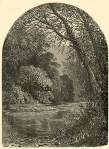 „Mechové ostrovy v Juniatě“, 1874.