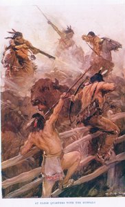 At Close Quarters with the Buffalo, ilustrace z 