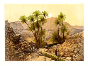 Poušť Sinai, Egypt, c1870.