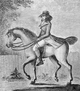 Mylná představa, 1789. od W. Dickinson