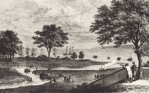 buvol (litho)