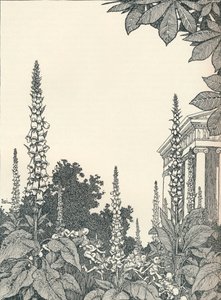 Ilustrace ke snu nocí svatojánských, 1914, 1925. od William Heath Robinson