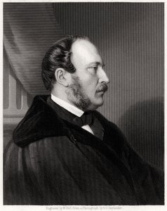 Jeho královská výsost princ Albert, 19. století od W. Holl