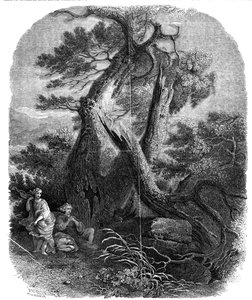 Ukázka dřevorytu, Smrt dětí Niobe, ...1844.