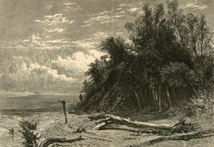 „Pobřeží u Lake Forest“, 1874. od W. J. Linton