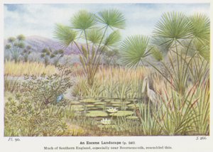 Eocénní krajina (barevné lito) od W. J. Stokoe
