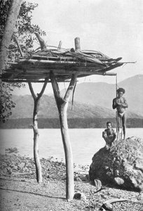 Zádušní platforma na Nové Guineji, 1902 od W. Lindt