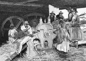 Drcení hole, 1886. od W. Mollier
