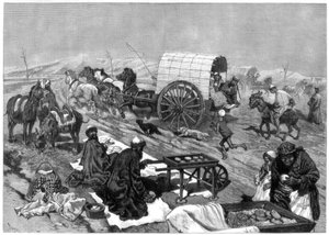 Dámský omnibus, Kašgar, Střední Asie, 1875. od W. Palmer