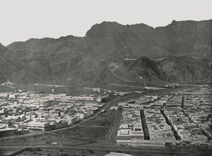Celkový pohled ukazující Camel Market, Aden, 1895. od W and S Ltd
