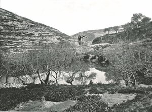 Pool of Siloam, Jeruzalém, Palestina, 1895. od W and S Ltd
