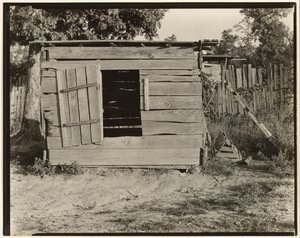 Kurník na farmě Floyda Burroughse, Hale County, Alabama