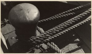 Přístav New York od Walker Evans