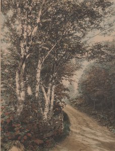 Westmore Drive od Wallace Nutting