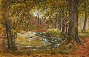 A Forest Glade (akvarel)