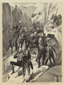 Afghánská válka, čekání na slony