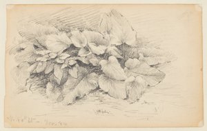 Studie závodu, West 86th Street