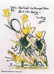 Trubky narcisů, z knihy Flora