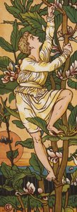 Jack a stonek fazole (barva litho) od Walter Crane