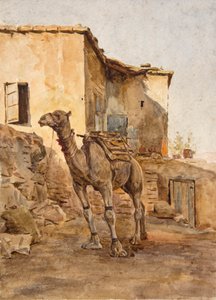 Uvázaný velbloud (akvarel) od Walter Frederick Roofe Tyndale