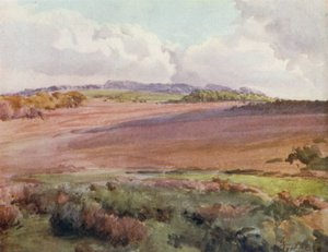 The New Forest: Across Malwood Walk from the Road to Fritham (barevné lito) od Walter Frederick Roofe Tyndale